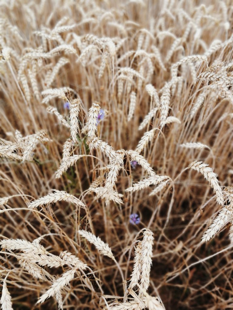 Processed with VSCO with m5 preset Processed with VSCO with m5 preset