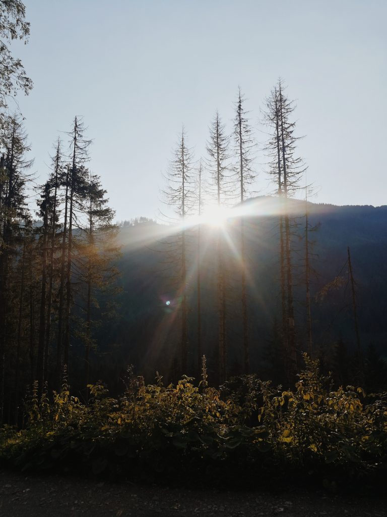 Processed with VSCO with m5 preset Processed with VSCO with m5 preset