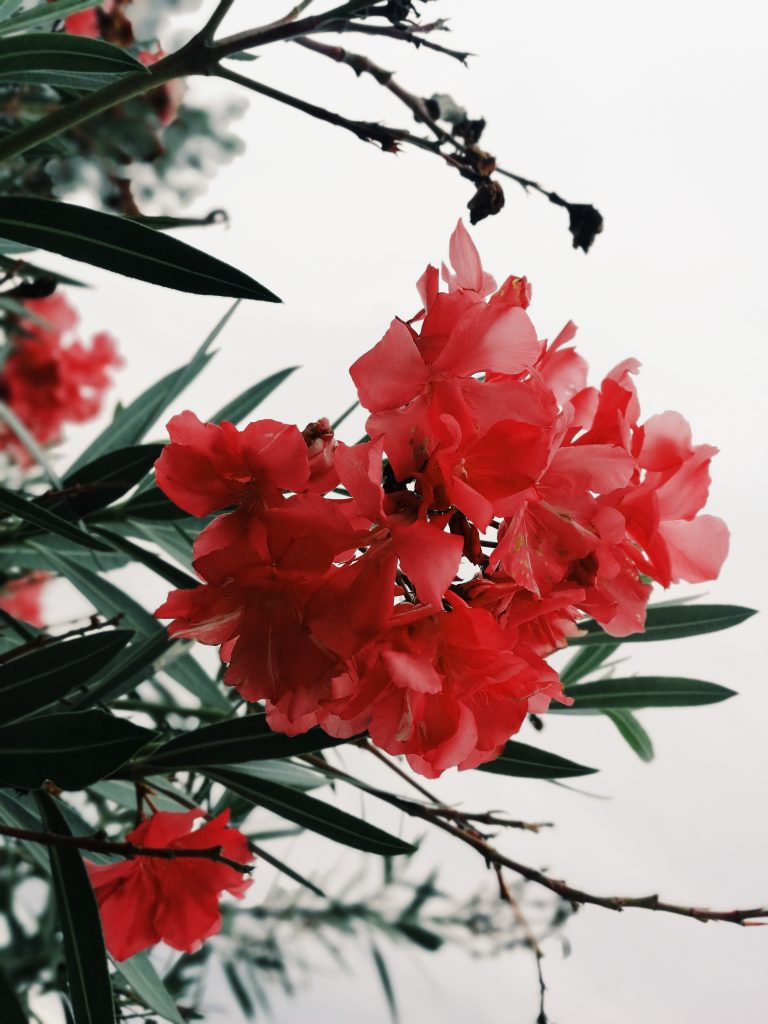 Processed with VSCO with g3 preset Processed with VSCO with g3 preset