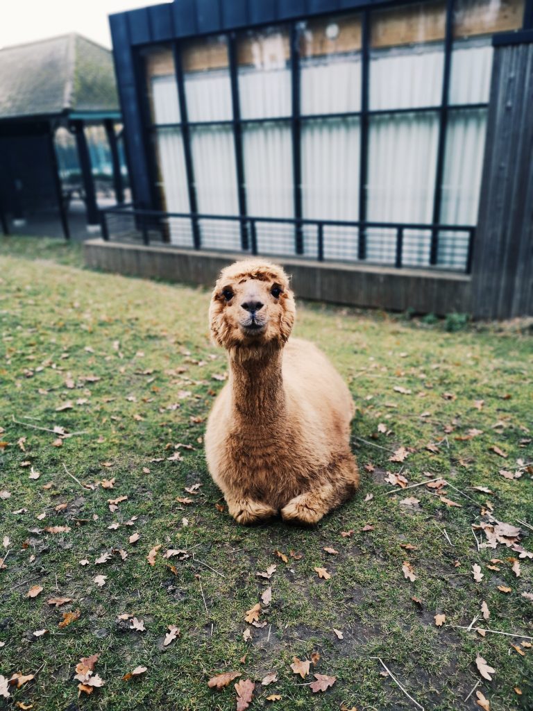 Processed with VSCO with g3 preset Processed with VSCO with g3 preset